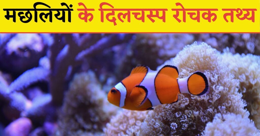 30 Interesting Facts About Fish in Hindi | मछलियों के बारे में दिलचस्प रोचक तथ्य