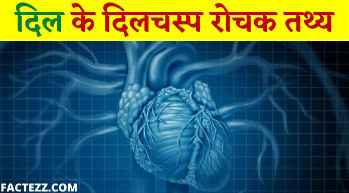 Information About Heart in Hindi | दिल (हृदय) के 50 महत्वपूर्ण रोचक तथ्य
