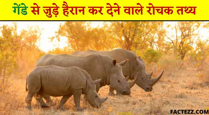 Information About Rhinoceros in Hindi | गेंडे से जुड़े हैरान कर देने वाले दिलचस्प रोचक तथ्य