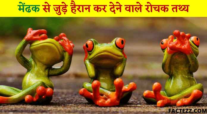 Interesting Information About Frog in Hindi | मेंढक से जुड़े हैरान कर देने रोचक तथ्य