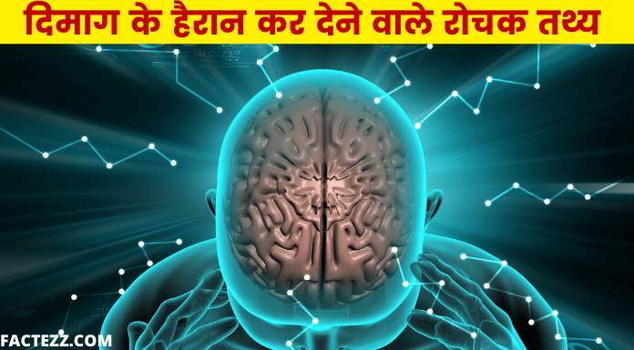 Amazing Facts About Human Brain in Hindi | दिमाग के रोचक तथ्य